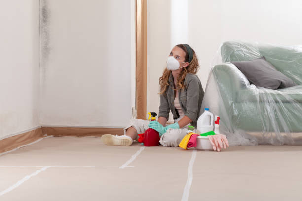 Reliable Mold Removal contractor in Branchville, VA by WQB Mold Removal